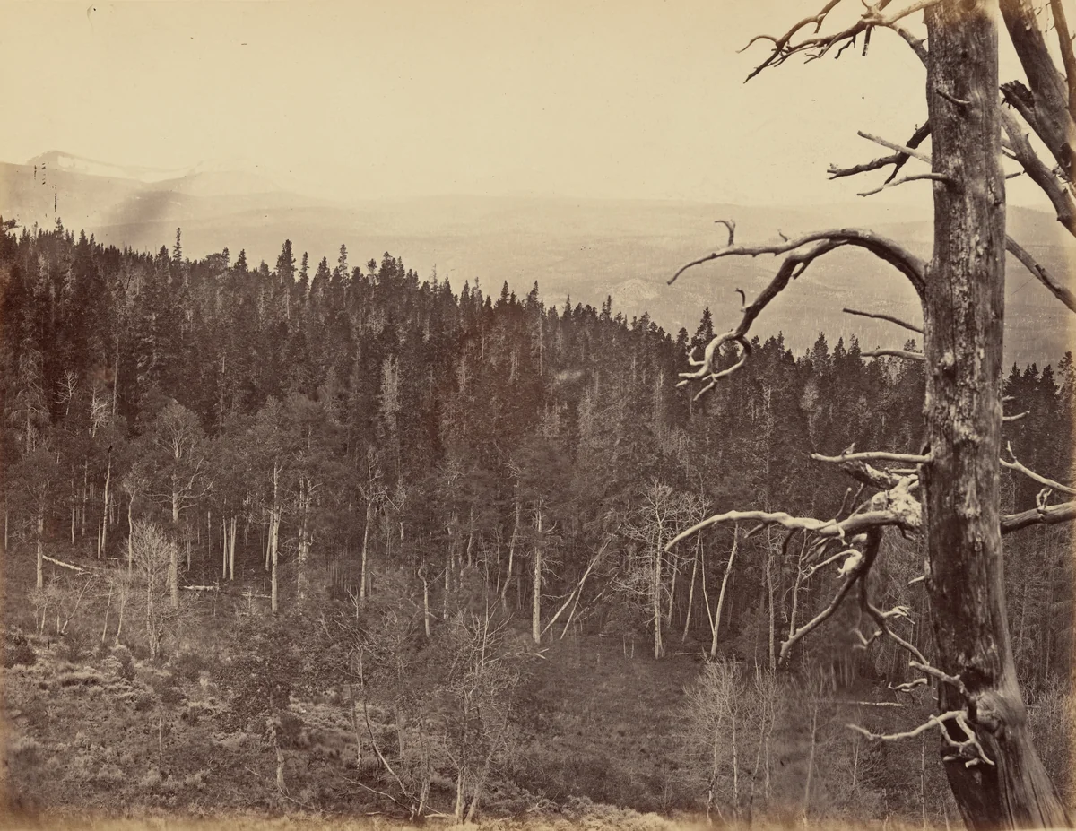 Plate 13. Snow and Timber Line, Laramie Mountains by Andrew Joseph Russell, photograph, 1869