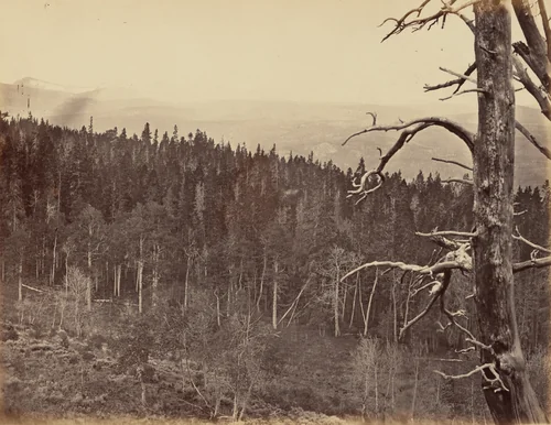 Plate 13. Snow and Timber Line, Laramie Mountains by Andrew Joseph Russell, photograph, 1869