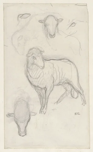 Studie van een schaap en drie schaapskoppen by Pierre Puvis de Chavannes, drawing, 1834-1898