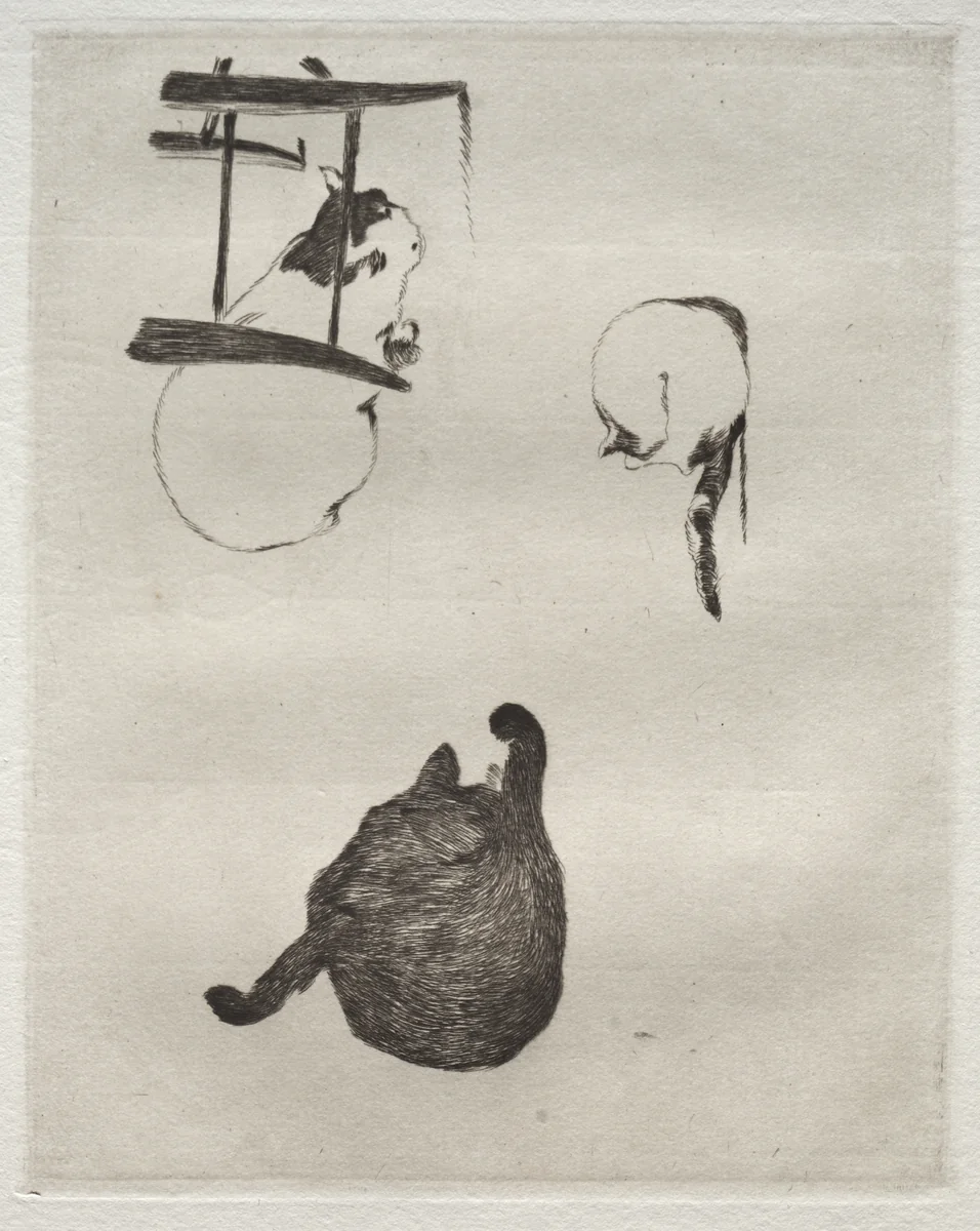 The Cats by Edouard Manet, print, 1868-1869