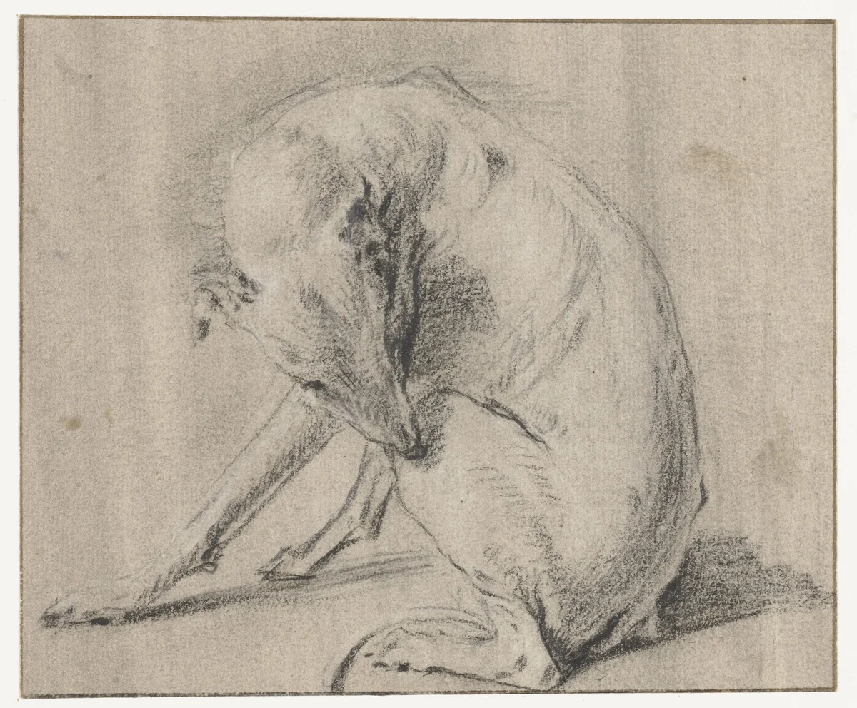 Een zittende hond die in zijn achterpoot bijt by Frans Snijders, drawing, 1589-1657