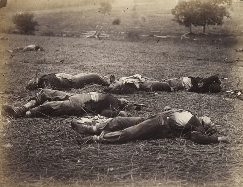Field Where General Reynolds Fell, Gettysburg. by Alexander Gardner, Timothy O'Sullivan, photograph, 1863