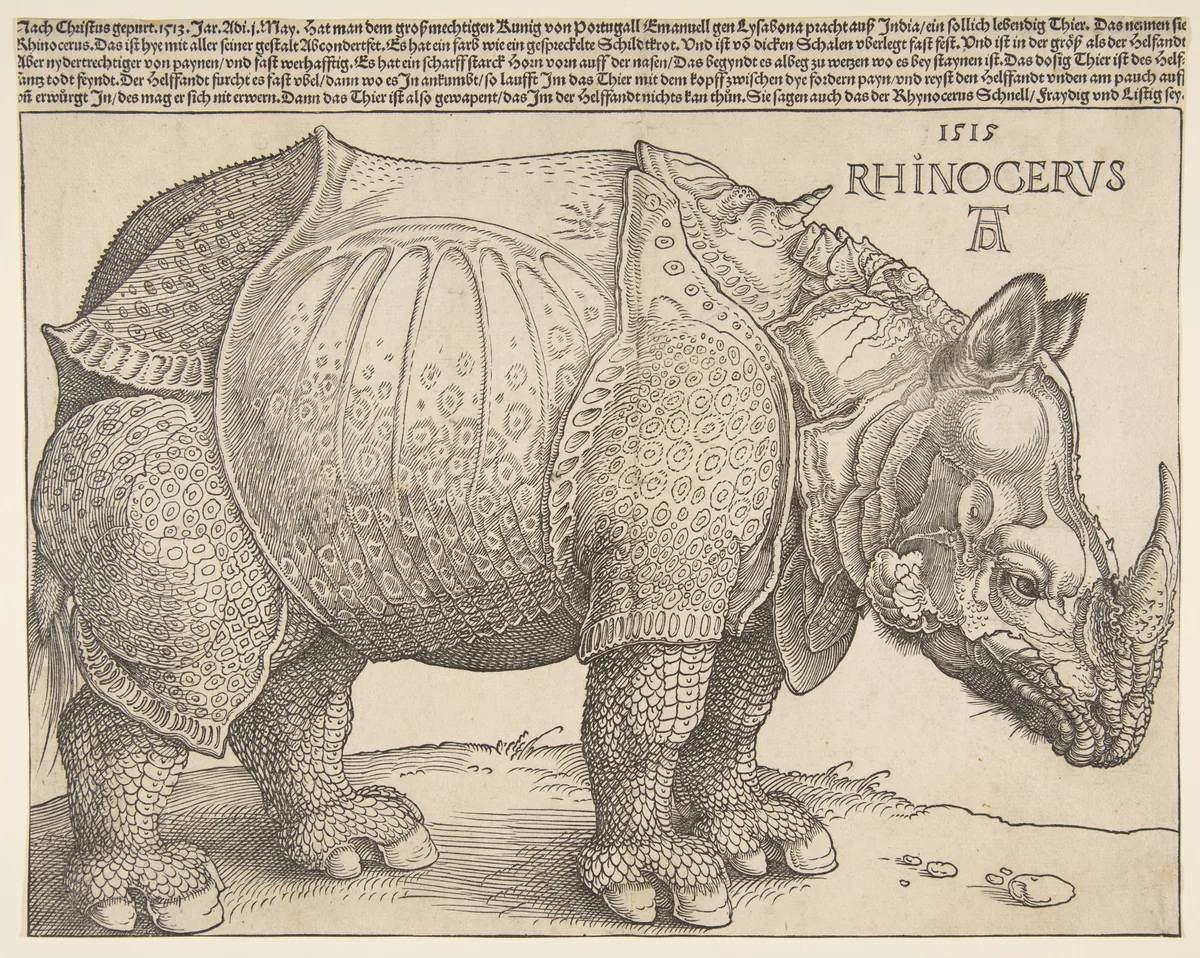 The Rhinoceros by Albrecht Dürer, print, 1515