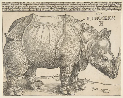 The Rhinoceros by Albrecht Dürer, print, 1515