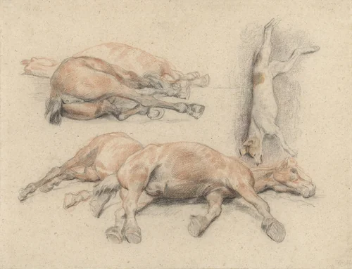 Studies van een paardenkadaver en een dode opgehangen hond by Denis Auguste Marie Raffet, drawing, 1814-1860
