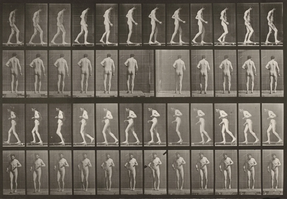 Plate Number 548. Lateral sclerosis, walking by Eadweard Muybridge, photograph, 1887