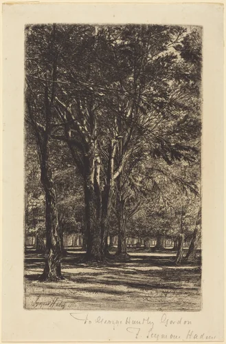 Kensington Gardens (The Larger Plate) by Francis Seymour-Haden, print, 1860