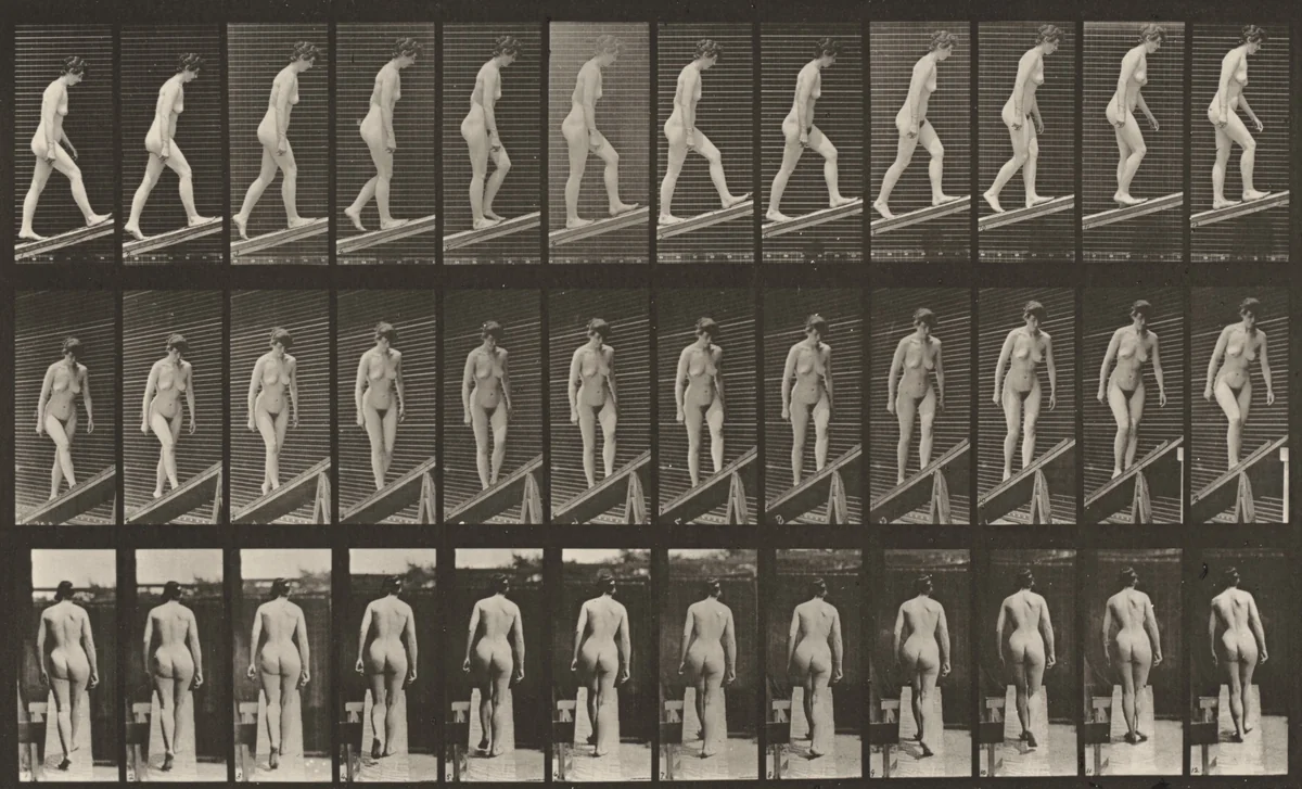 Plate Number 76. Ascending an incline by Eadweard Muybridge, photograph, 1887