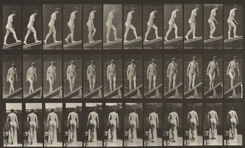 Plate Number 76. Ascending an incline by Eadweard Muybridge, photograph, 1887