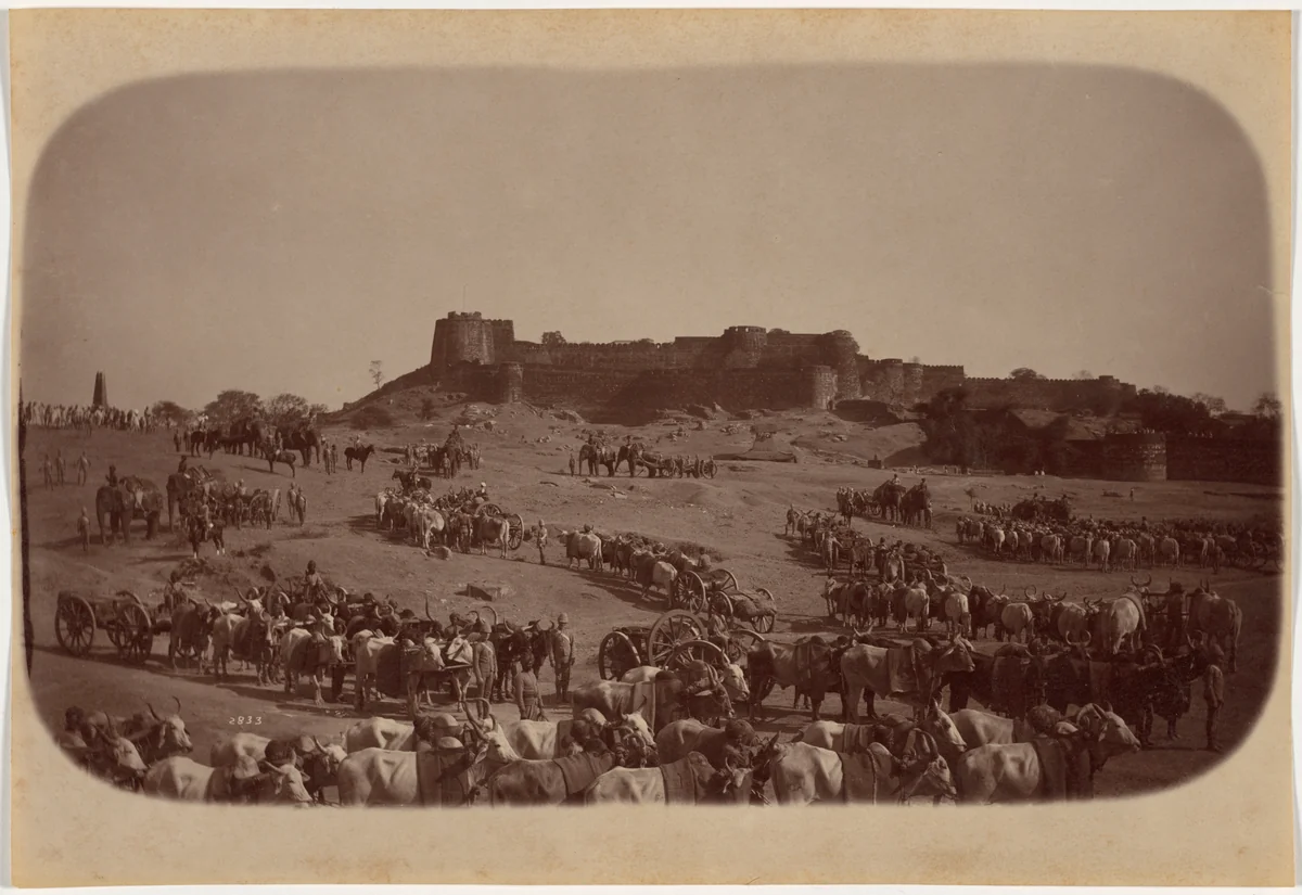Elephant Battery, Jhansi by Raja Deen Dayal, photograph, 1887