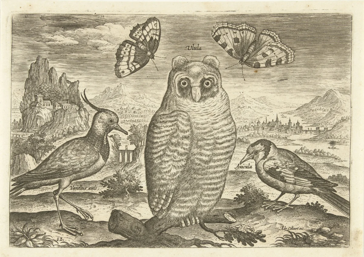 Vogels en vlinders in een landschap by Adriaen Collaert, print, 1598-1602