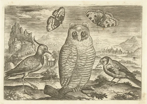 Vogels en vlinders in een landschap by Adriaen Collaert, print, 1598-1602