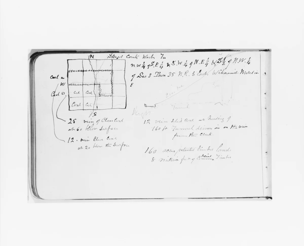 Geographical and Geological Notes on Skagit County, Washington (from Sketchbook) by Albert Bierstadt, artwork, 1890