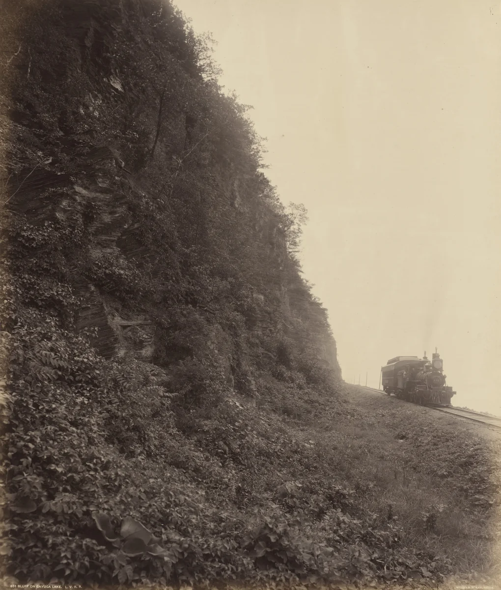 Bluff on Cayuga Lake, L.V.R.R. by William H. Rau, photograph, 1895