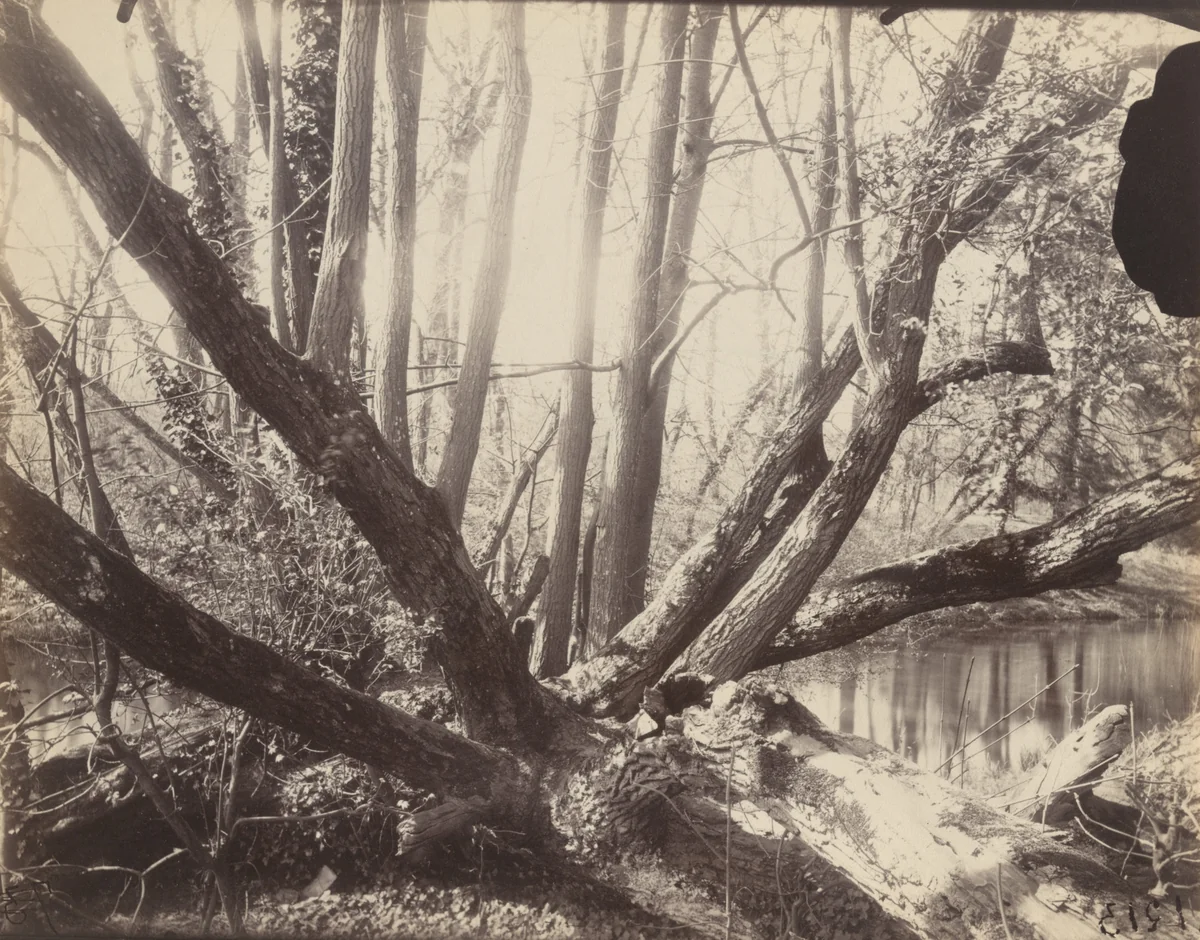 Villeneuve-l'Étang by Eugène Atget, photograph, 1910