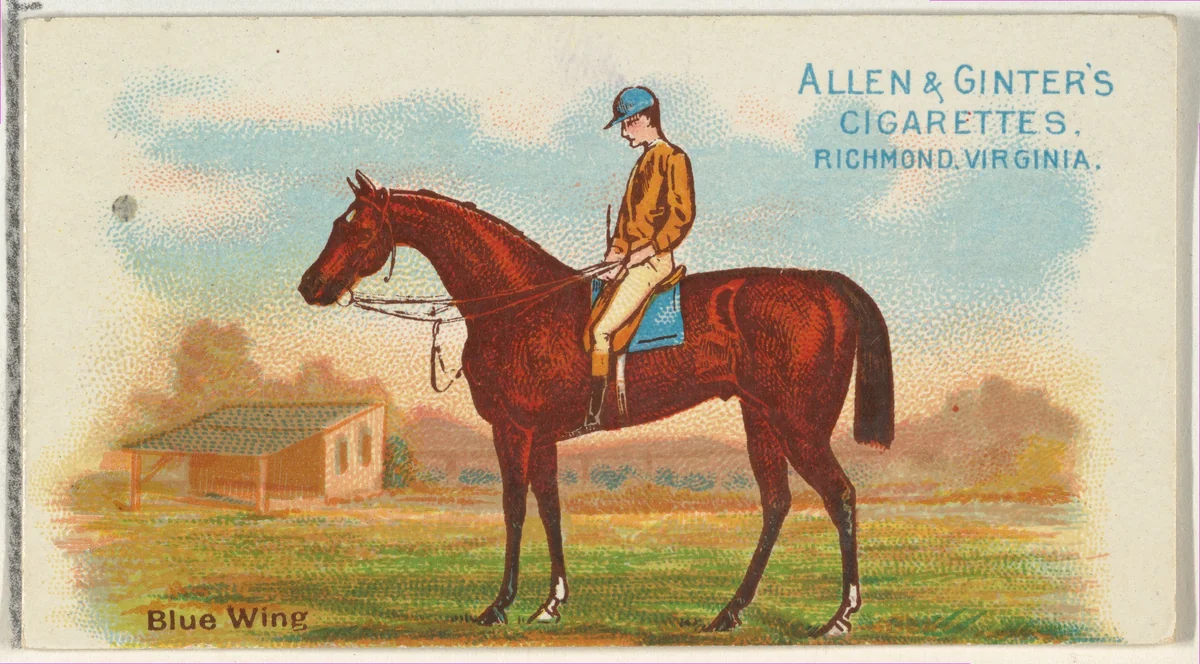 Blue Wing, from The World's Racers series (N32) for Allen & Ginter Cigarettes by Allen & Ginter, print, 1888