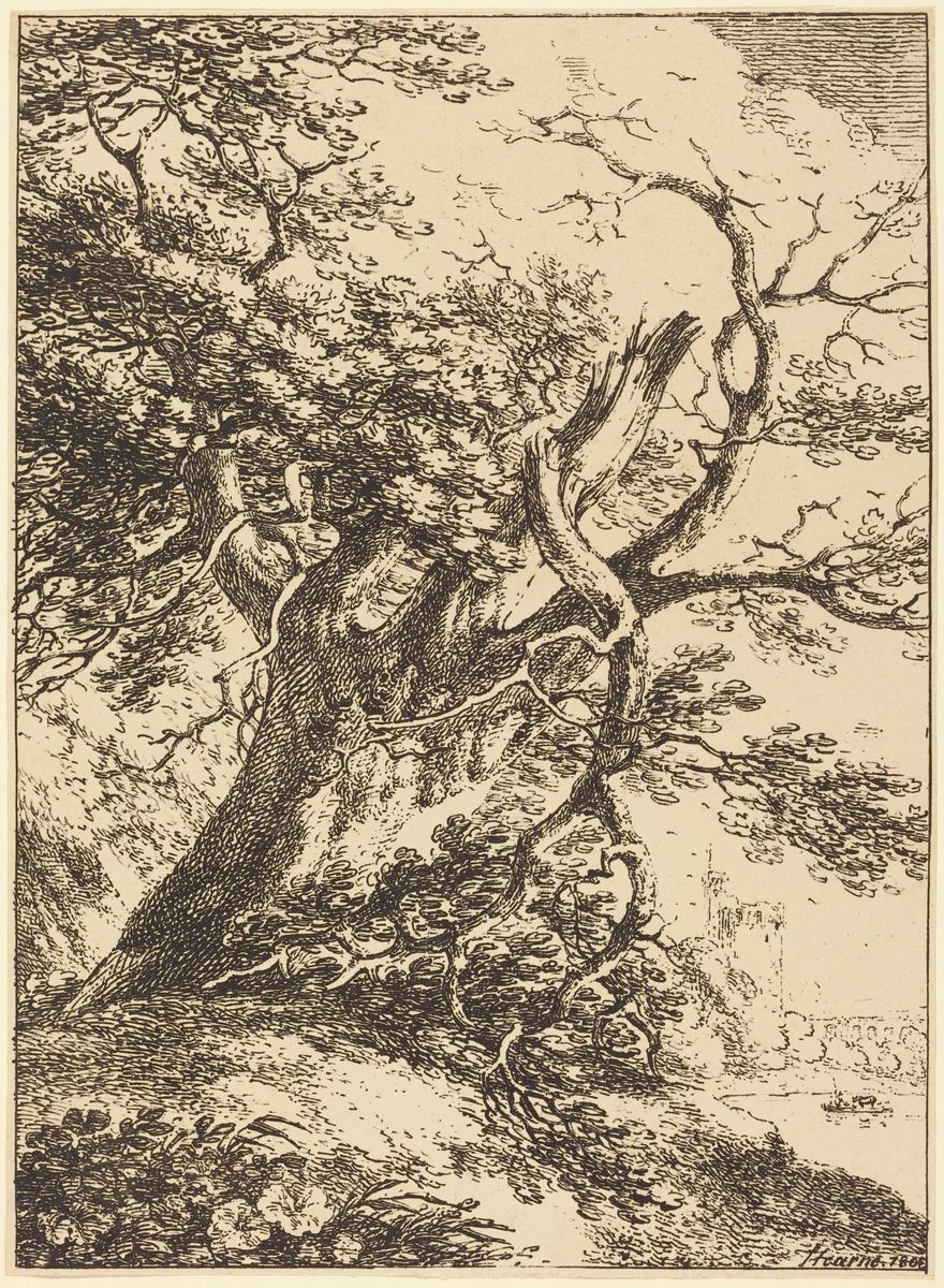 Old Tree by Thomas Hearne, print, 1803