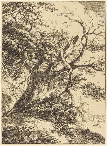 Old Tree by Thomas Hearne, print, 1803