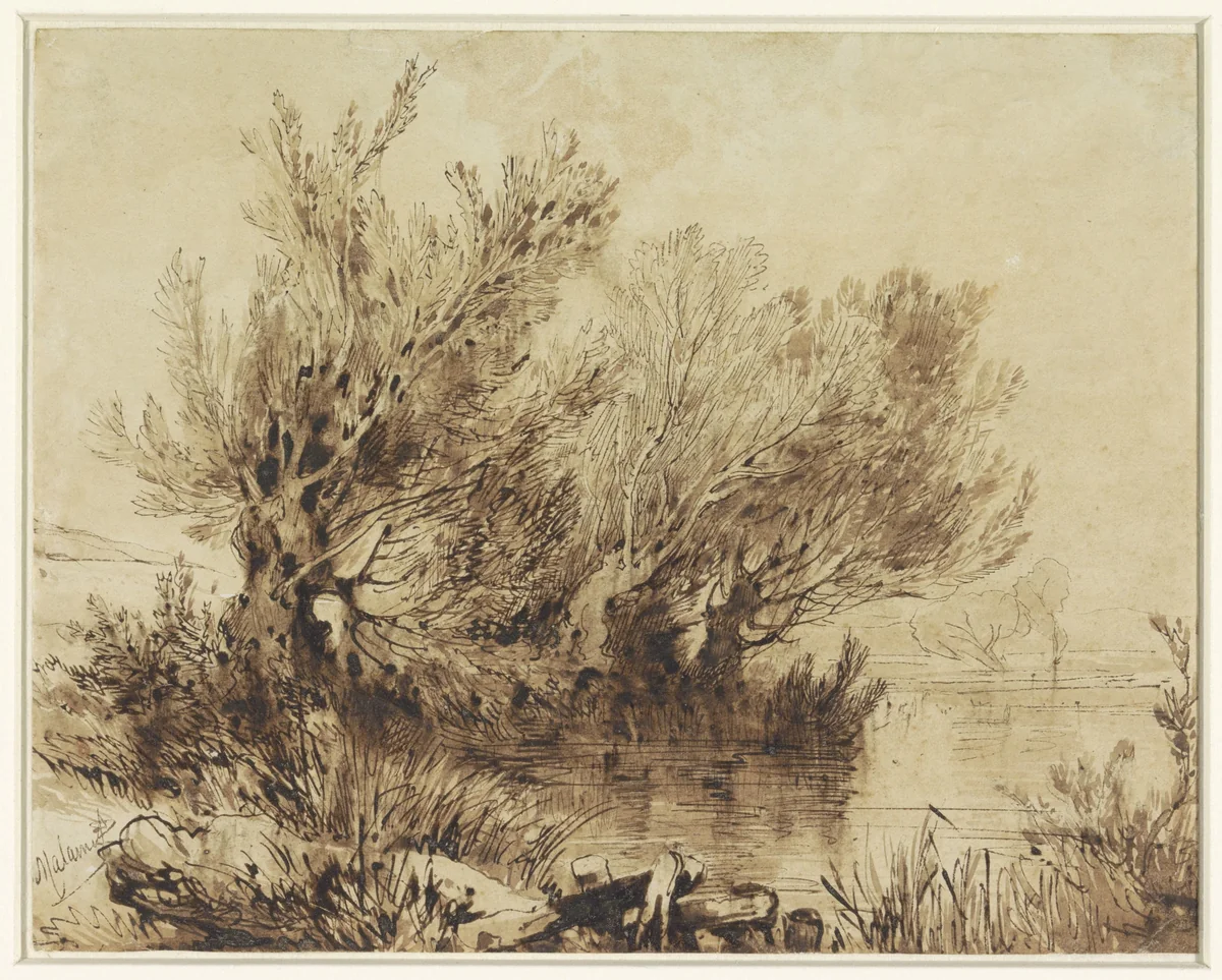 Wilgen aan een meer in zacht glooiend terrein by Alexandre Calame, drawing, 1820-1864