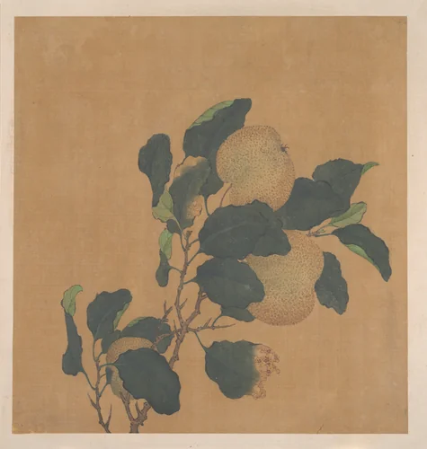Branch of Tree with Fruit by Unidentified Artist, painting, 1644-1911