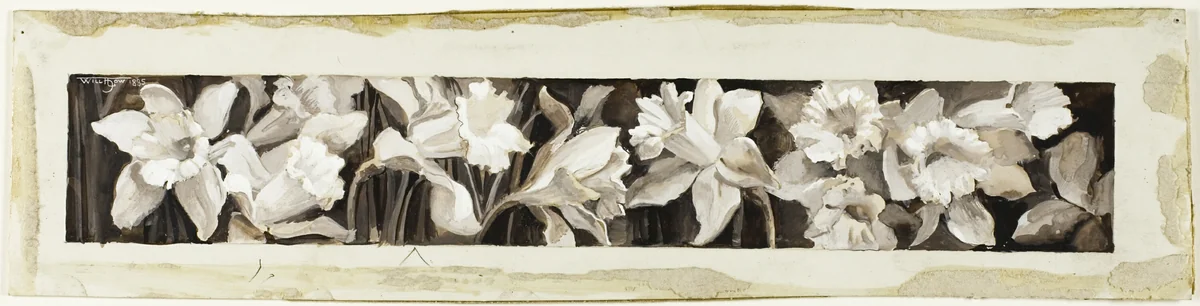Decoration - Daffodils by Will Hicock Low, drawing, 1885