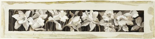 Decoration - Daffodils by Will Hicock Low, drawing, 1885