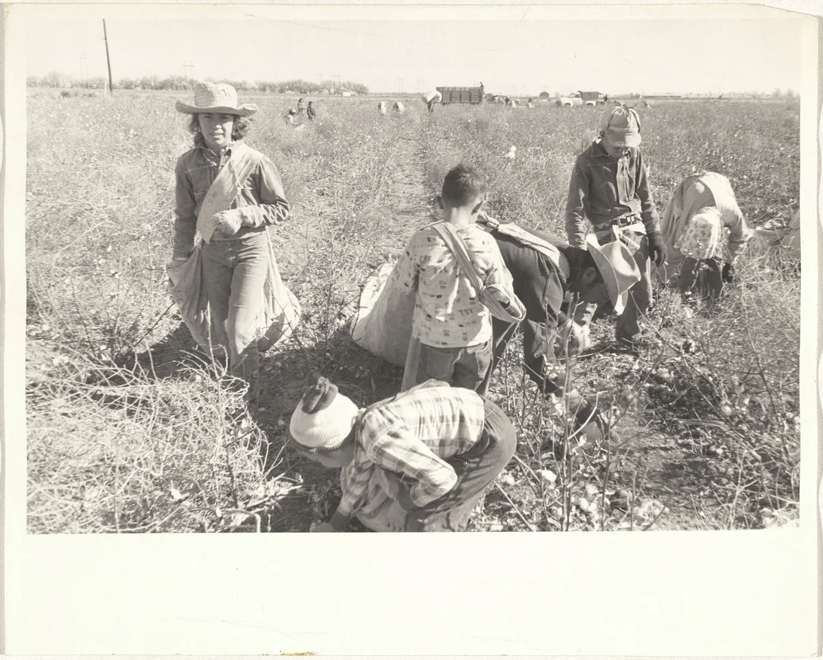 Cotton harvesters--New Mexico by Robert Frank, photograph, 1955