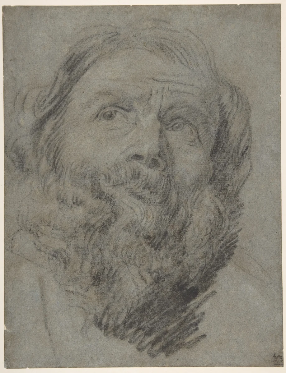 Head of an Apostle by Anthony van Dyck, drawing, 1610-1641