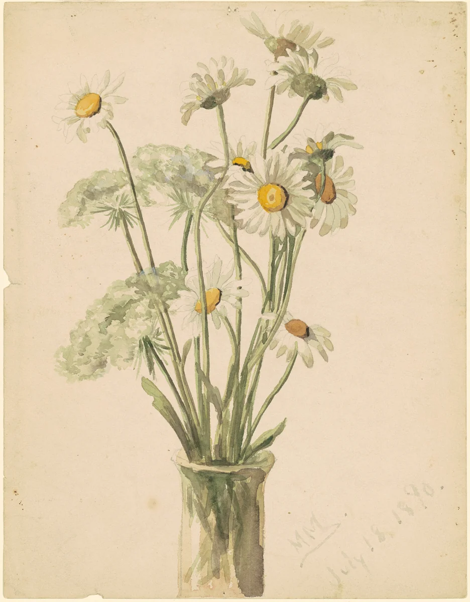 Daisies and Queen Ann's Lace by Marietta Minnigerode Andrews, drawing, 1890