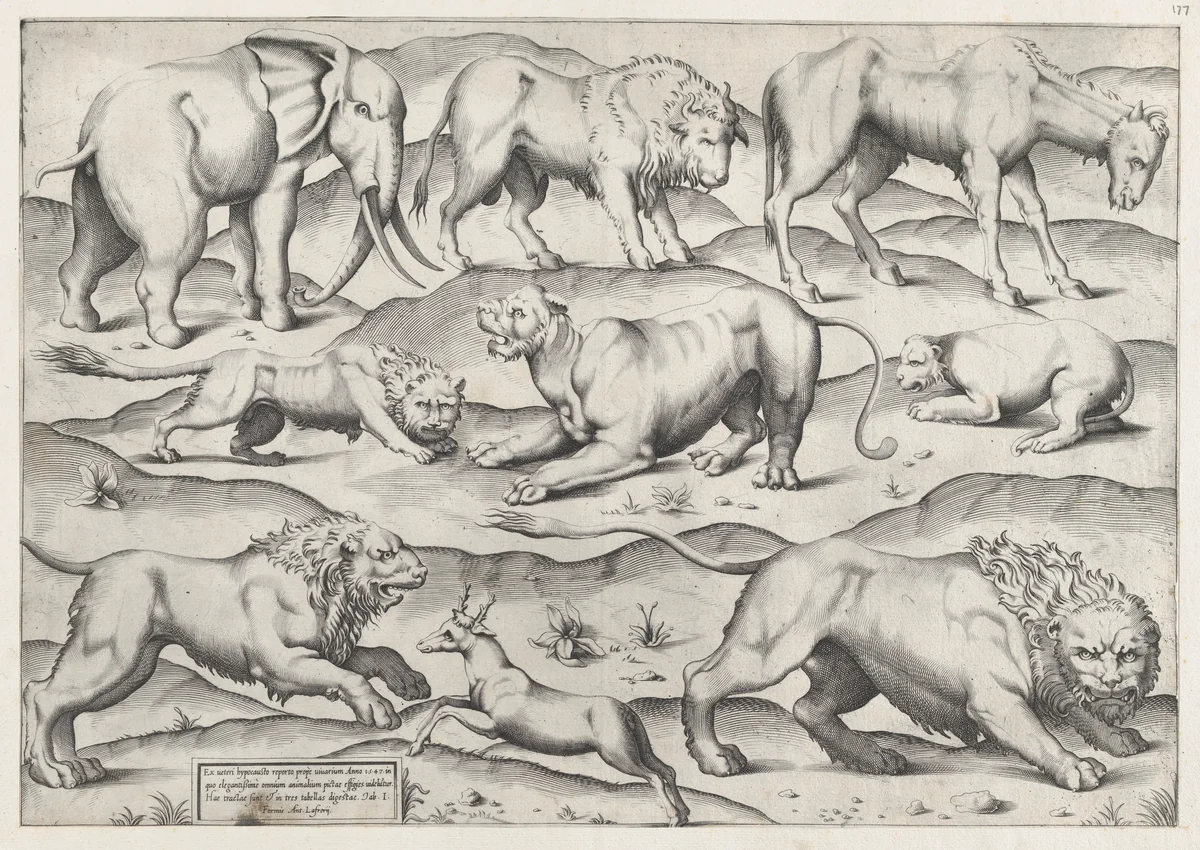 Wild Animals, from antique wall paintings, plate 1, from "Speculum Romanae Magnificentiae" by anonymous, print, 1547