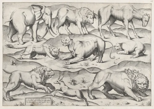 Wild Animals, from antique wall paintings, plate 1, from "Speculum Romanae Magnificentiae" by anonymous, print, 1547