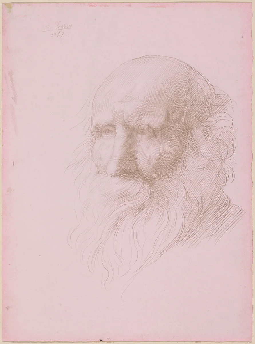 Head of an Old Man by Alphonse Legros, drawing, 1897