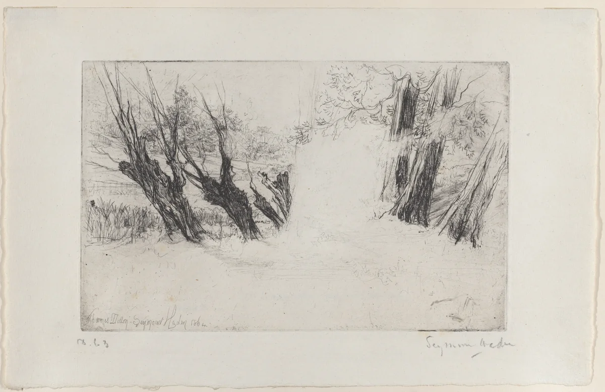 The Lovers' Walk, No. 1 by Sir Francis Seymour Haden, print, 1864