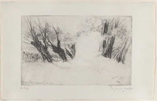The Lovers' Walk, No. 1 by Sir Francis Seymour Haden, print, 1864
