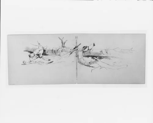 Study of a Fallen Tree (from sketchbook) by David Johnson, artwork, 1827-1908