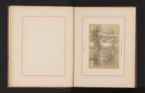 Fotoreproductie van een schilderij, voorstellende een kudde schapen langs een poel by anonymous, photograph, 1868-1878