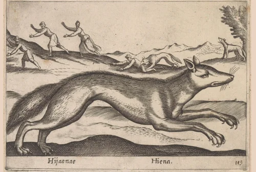 Hyena by Antonio Tempesta, print, 1565-1630