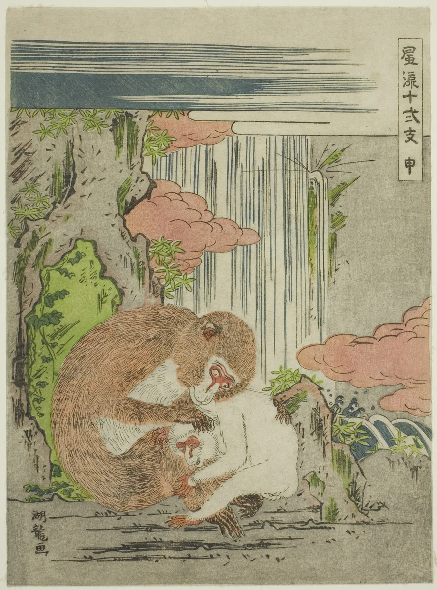Monkey (Saru), from the series "Fashionable Twelve Signs of the Zodiac (Furyu juni shi)" by Isoda Koryusai, print, 1768-1780