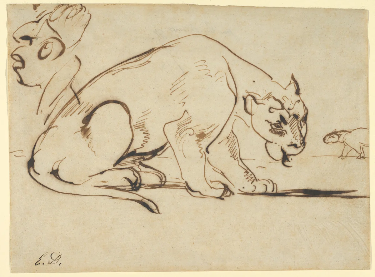 A Lioness and a Caricature of Ingres by Eugène Delacroix, drawing, 1850-1859