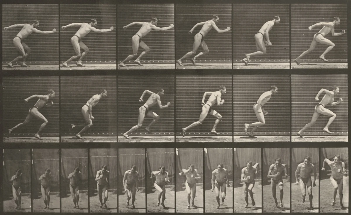Plate Number 59. Starting for a run by Eadweard Muybridge, photograph, 1887