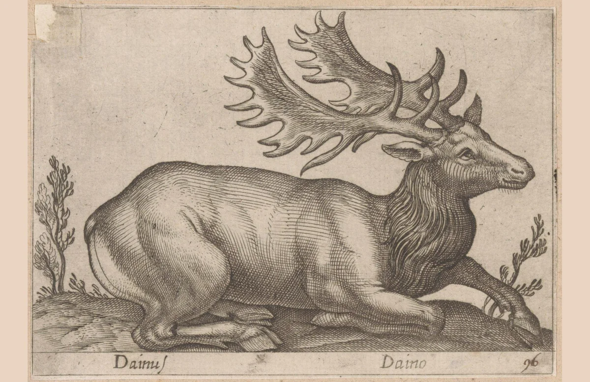 Damhert by Antonio Tempesta, print, 1565-1630