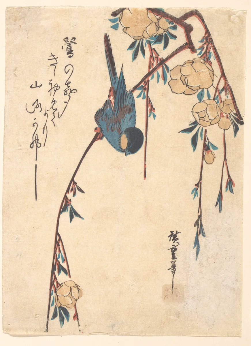 Weeping Cherry by Utagawa Hiroshige (歌川広重), print, 1797-1858