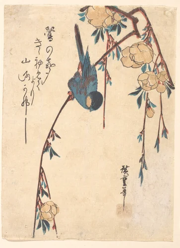 Weeping Cherry by Utagawa Hiroshige (歌川広重), print, 1797-1858