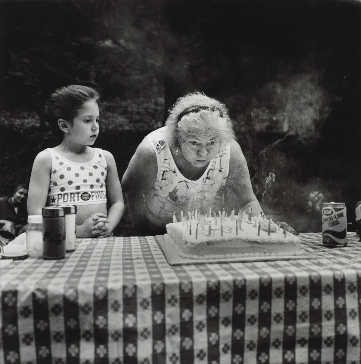 Jean Sabatine's Sixtieth Birthday, Martins Creek, Pennsylvania by Larry Fink, photograph, 1992