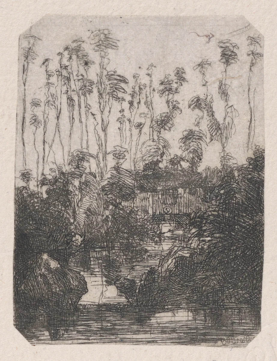 La Marais (The Swamp) by Rodolphe Bresdin, print, 1849