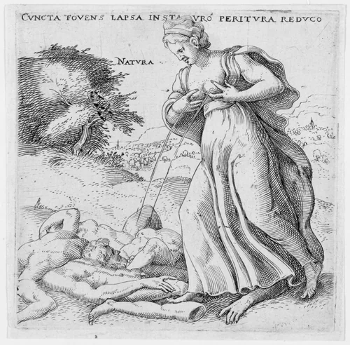 Nature by Enea Vico, print, 1540-1555