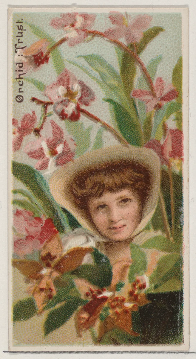 Orchid: Trust, from the series Floral Beauties and Language of Flowers (N75) for Duke brand cigarettes by American Tobacco Company, print, 1892