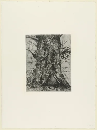 Study of a Tree Trunk by Joseph Stella, print, 1900