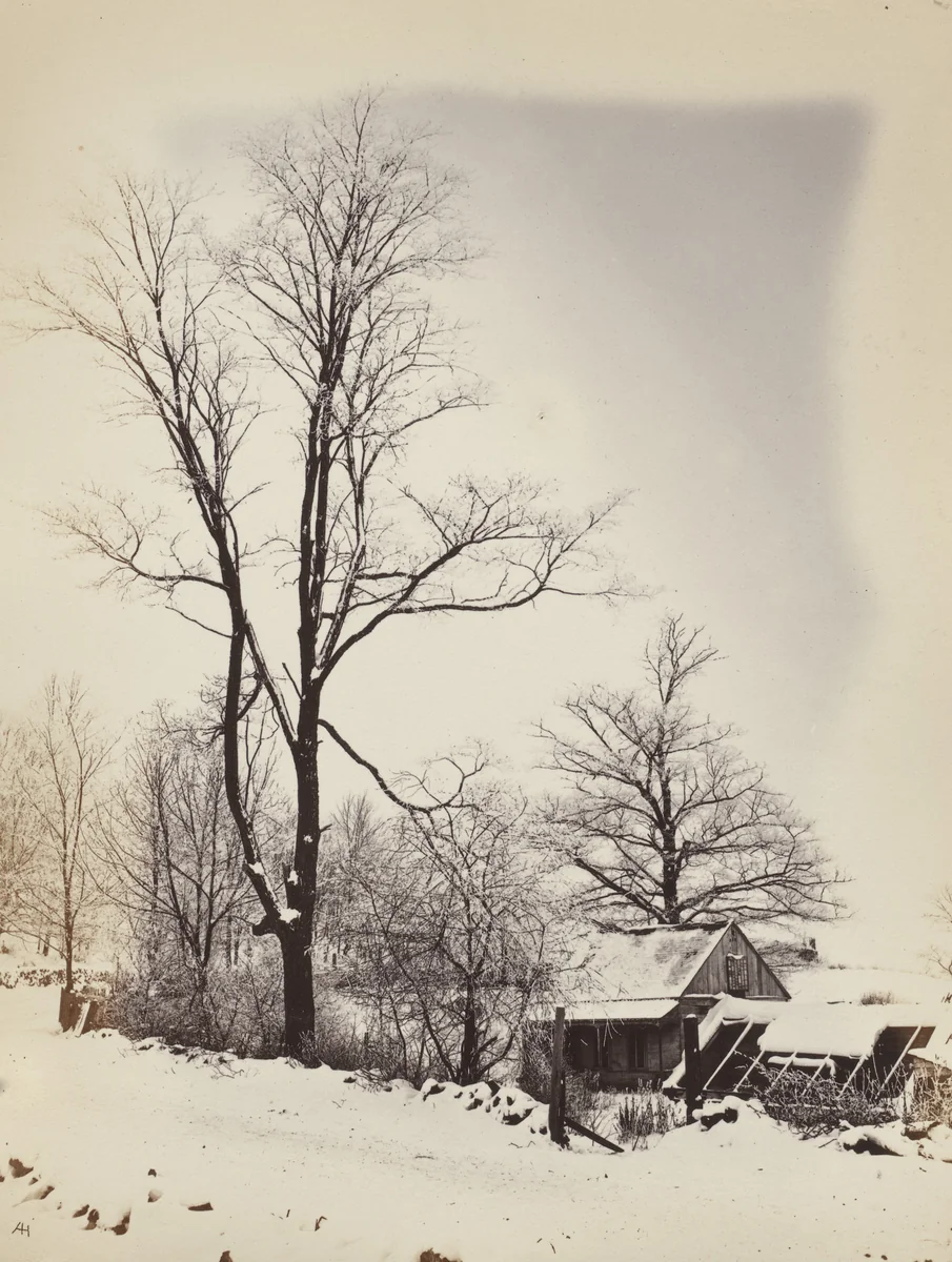 Winter by Alexander Henderson, photograph, 1865