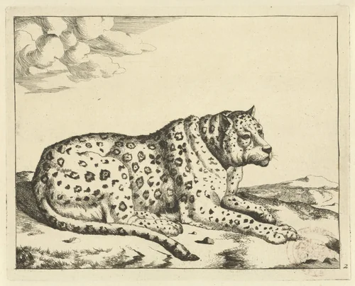 Liggend luipaard, naar rechts, de staart langs het lichaam by Marcus de Bye, print, 1657-1677